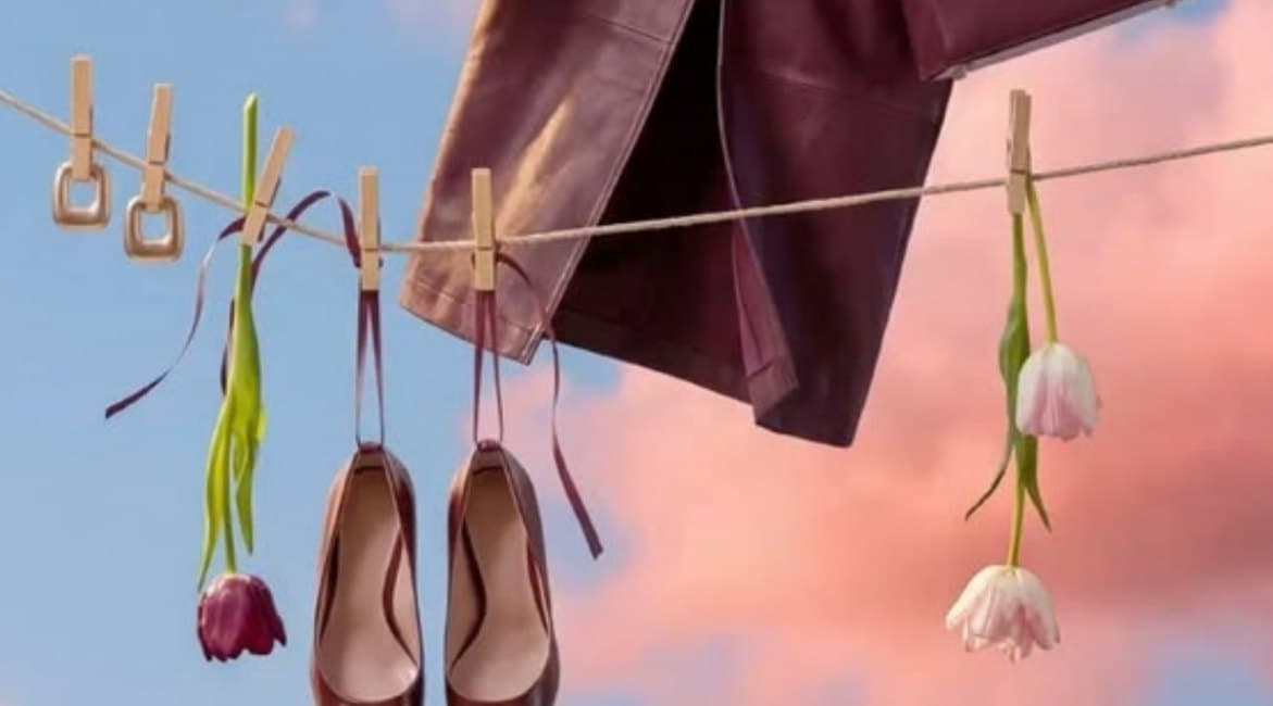 Burgundy pumps, a leather jacket and tulips pinned to a clothesline against a pink sky